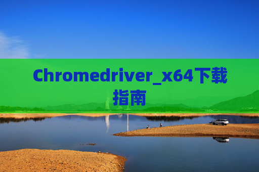 Chromedriver_x64下载指南